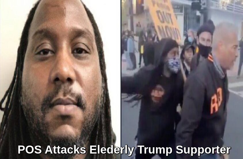  Identified from Viral Picture a Registered Child Sex Offender was arrested for attacking Trump Supporter at Maga Million March