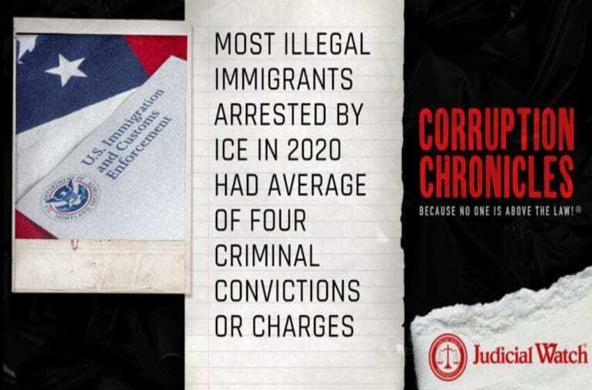  Most Illegal Immigrants Arrested by ICE in 2020 Had Average of Four Criminal Convictions or Charges