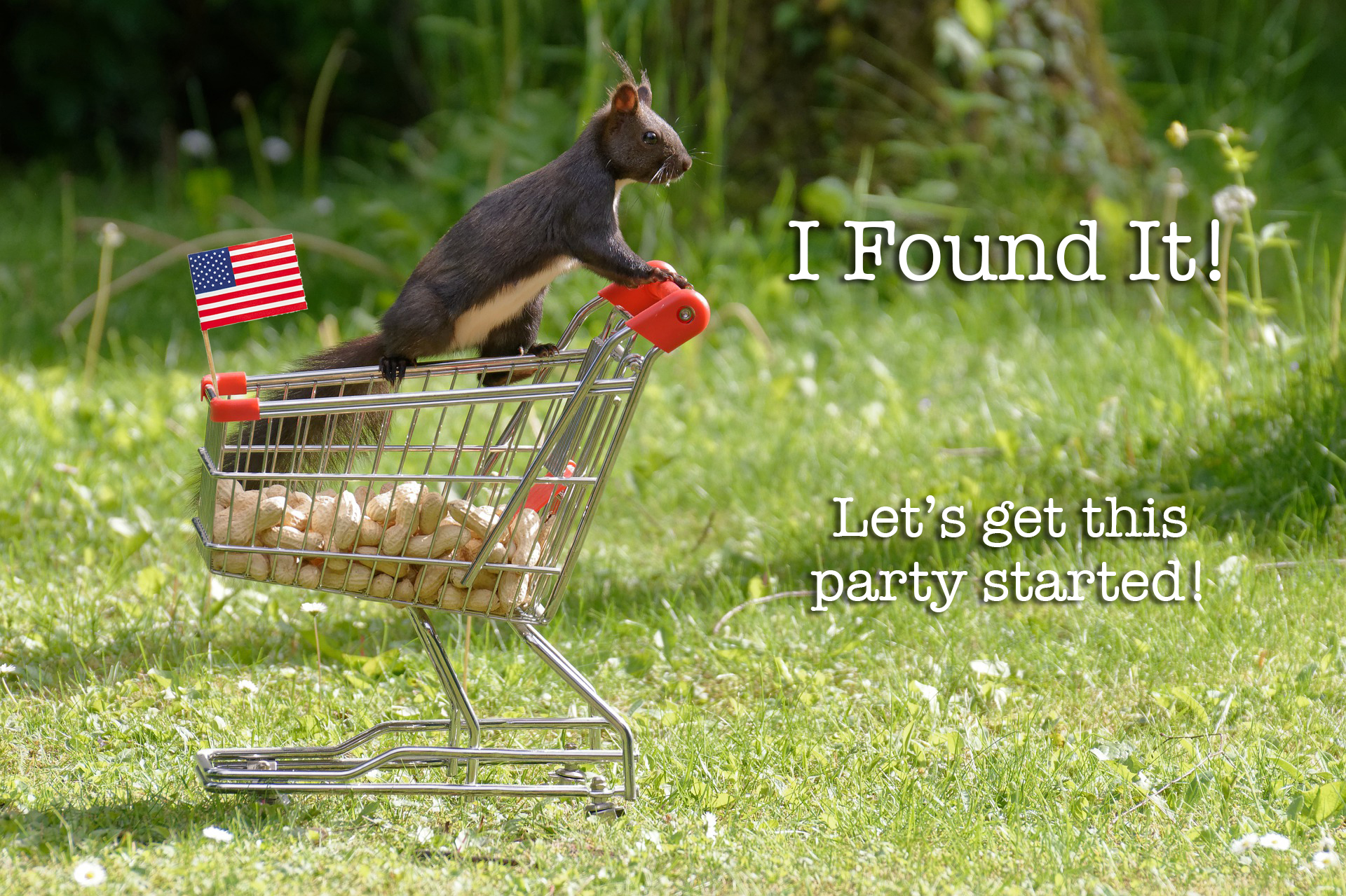  BIG SOLUTION: Well-Established Patriot Shop with Over 450 USA-Made Products with no Poisonous Chemicals, No Debt, and No Buyout – Ditch Big Box Stores Now!