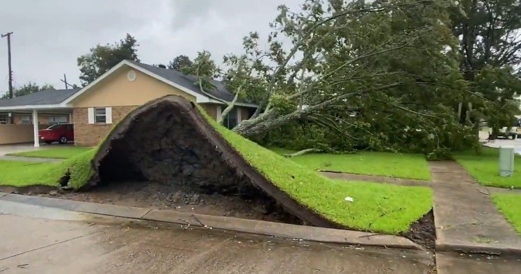  Large Tree Uprooted by Hurricane Ida’s Winds Topples Onto Home While Woman Asleep in House – Damage Scenes Across Louisiana (VIDEO)
