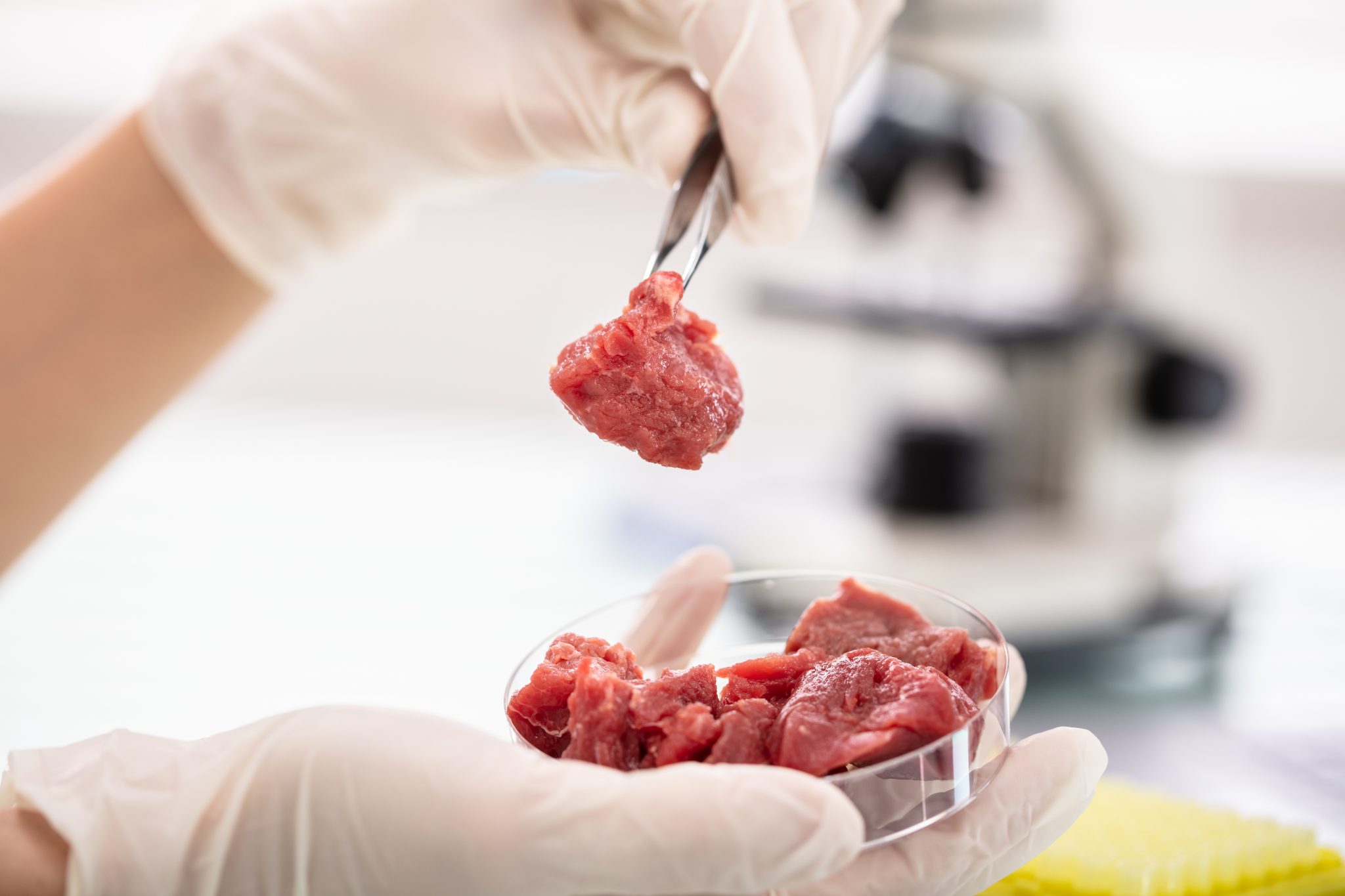  Lab Grown Meat To Hit U.S. in 2022, Backed By FDA & USDA, Along with “Smarter Food Safety Blueprint” and Traceability All Underway