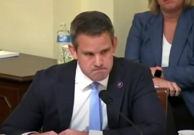  Democrats Repaying Anti-Trump Republican Adam Kinzinger With Redistricting That Will End His Career