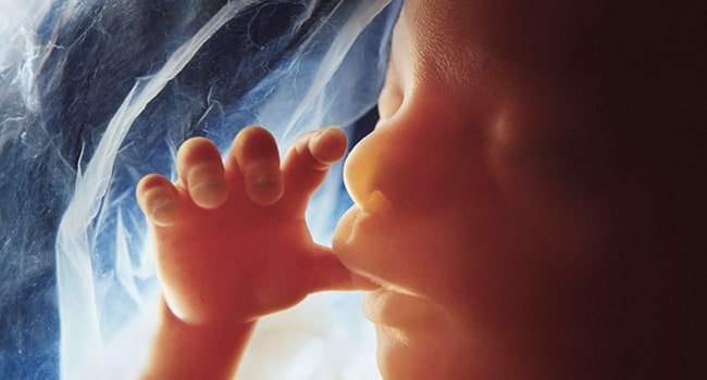  Obama-Appointed Judge Orders Texas to Suspend New ‘Heartbeat’ Law Banning Most Abortions