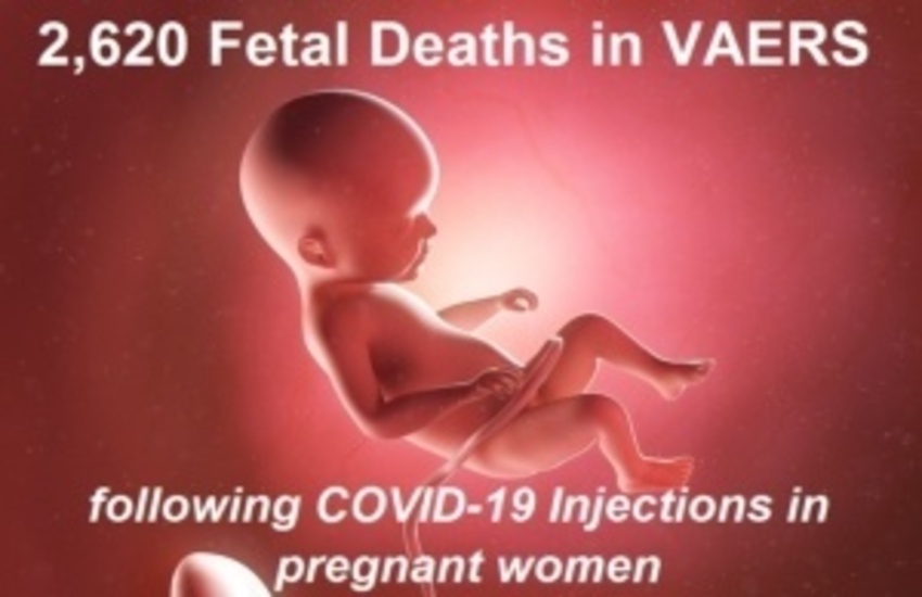  2,620 Dead Babies in VAERS After COVID Shots – More Fetal Deaths in 11 Months than Past 30 Years