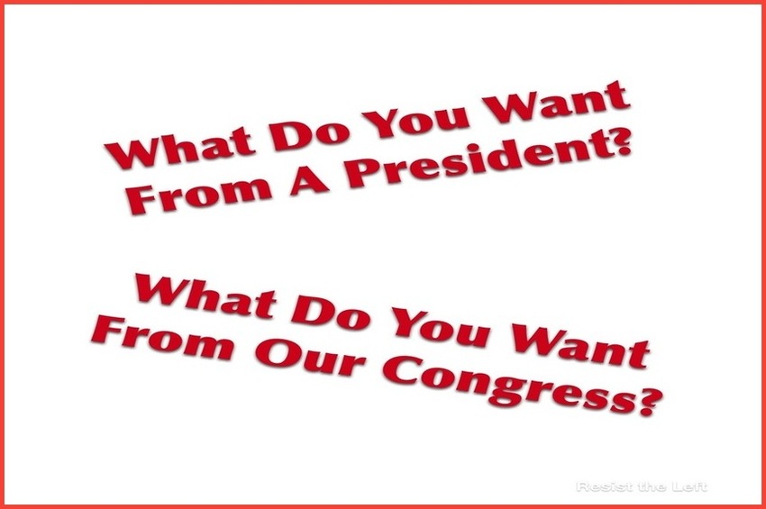  What do you want from a President and our Congress?