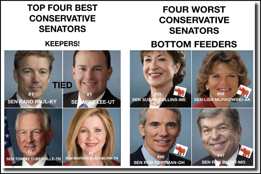  Who is the best and worst GOP Senators and Who is in Between