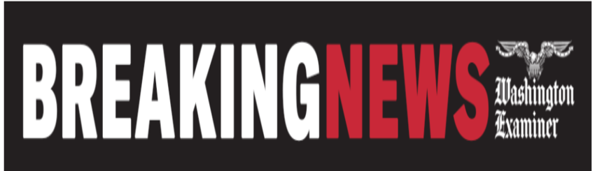  News Alert | Jan. 6 committee subpoenas Rudy Giuliani, Sidney Powell, and Jenna Ellis