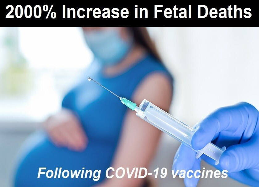  2000% Increase in Fetal Deaths F COVID-19 Vaccines  CDC Still Recommends Them Pregnant Women?