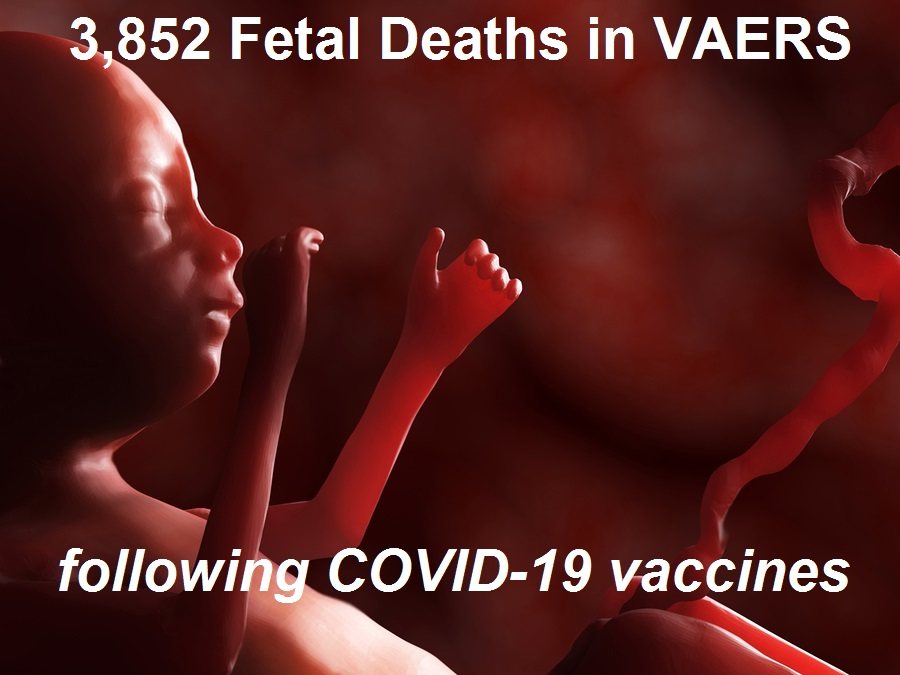  The Thousands of Fetal Deaths Recorded After COVID-19 Vaccines that Nobody Wants to Report and that Facebook is Trying Hard to Censor