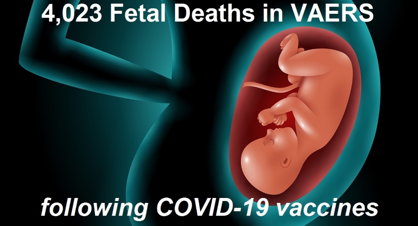  4,023 Fetal Deaths Now Recorded Following COVID-19 Vaccines  US Appeals Court Reinstates Vaccine Mandate for Federal Workers