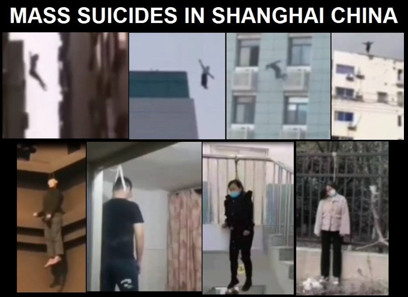  PROTEST, STARVING, LOOTING, AND MASS SUICIDES IN CHINA DURING LOCKDOWNS