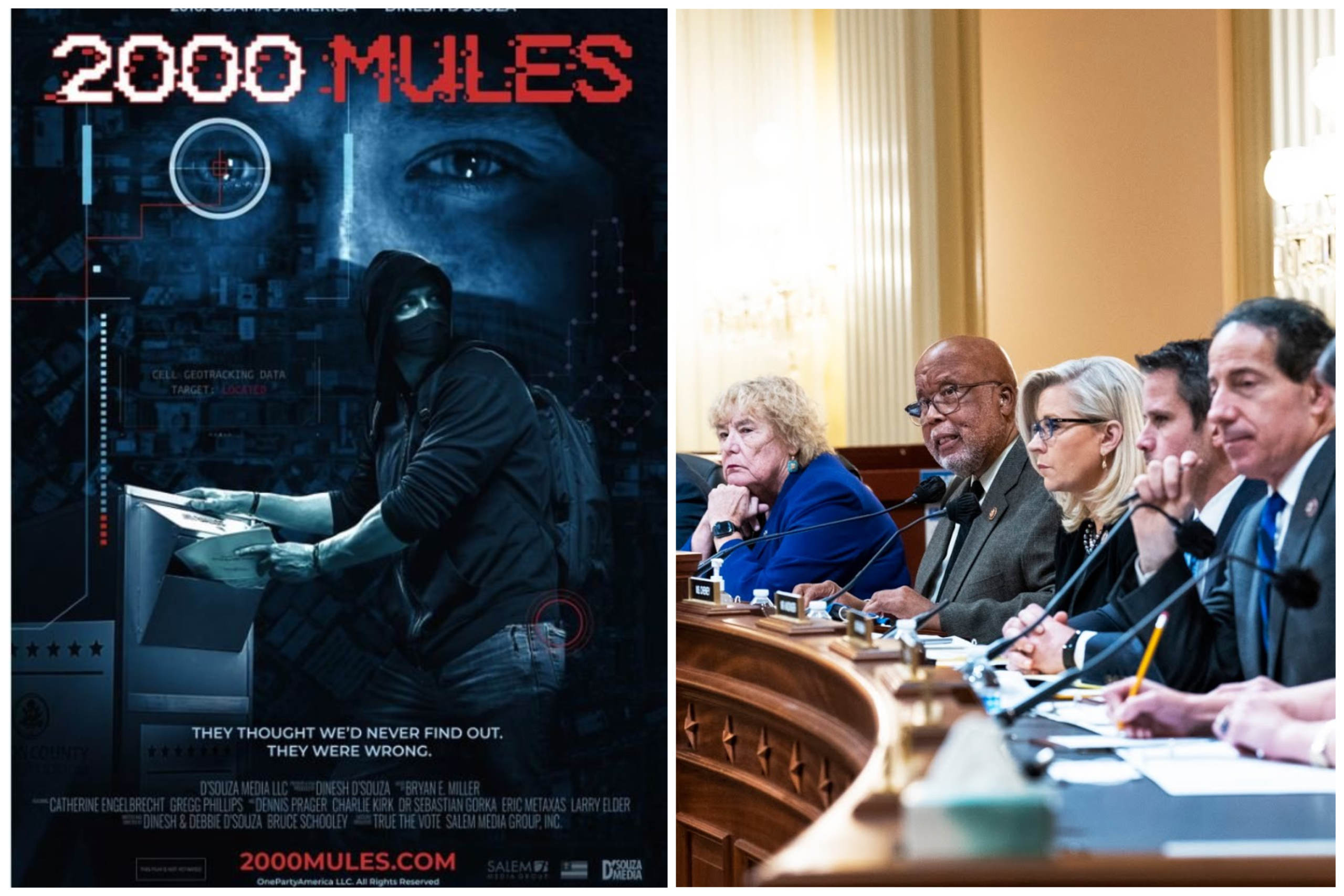  Dinesh D’Souza Dares Jan. 6 Committee to Air His Movie “2000 Mules” at Public Hearing and Try to Refute It