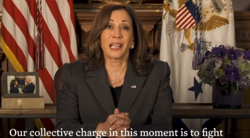  PINOCCHIO’S Kamala Activates Leftist Street Mobs: “Our Collective Charge in this Moment Is to Fight”