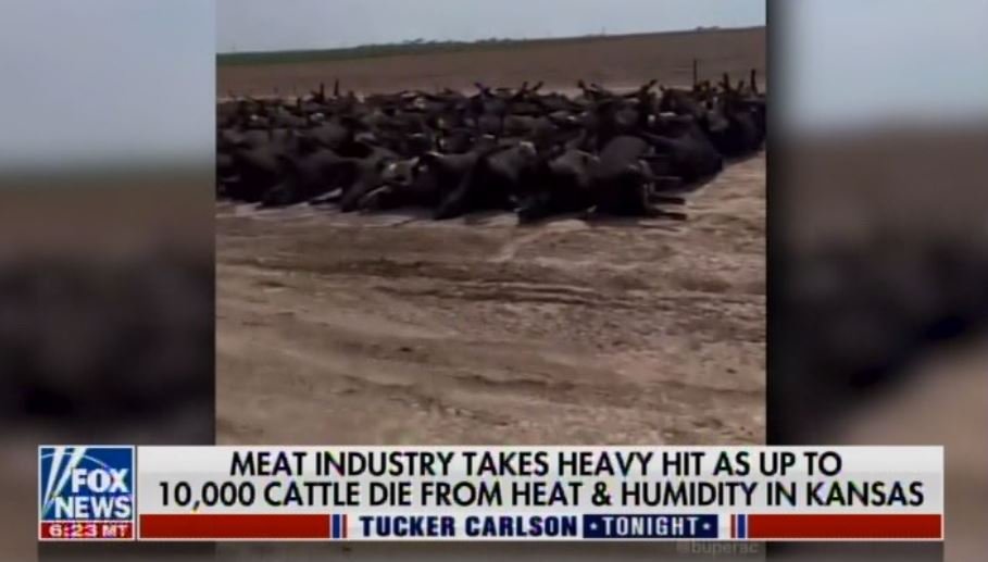  Tucker Carlson Covers the 10,000 Kansas Cattle Deaths and Food Processing Crisis in America (Video)