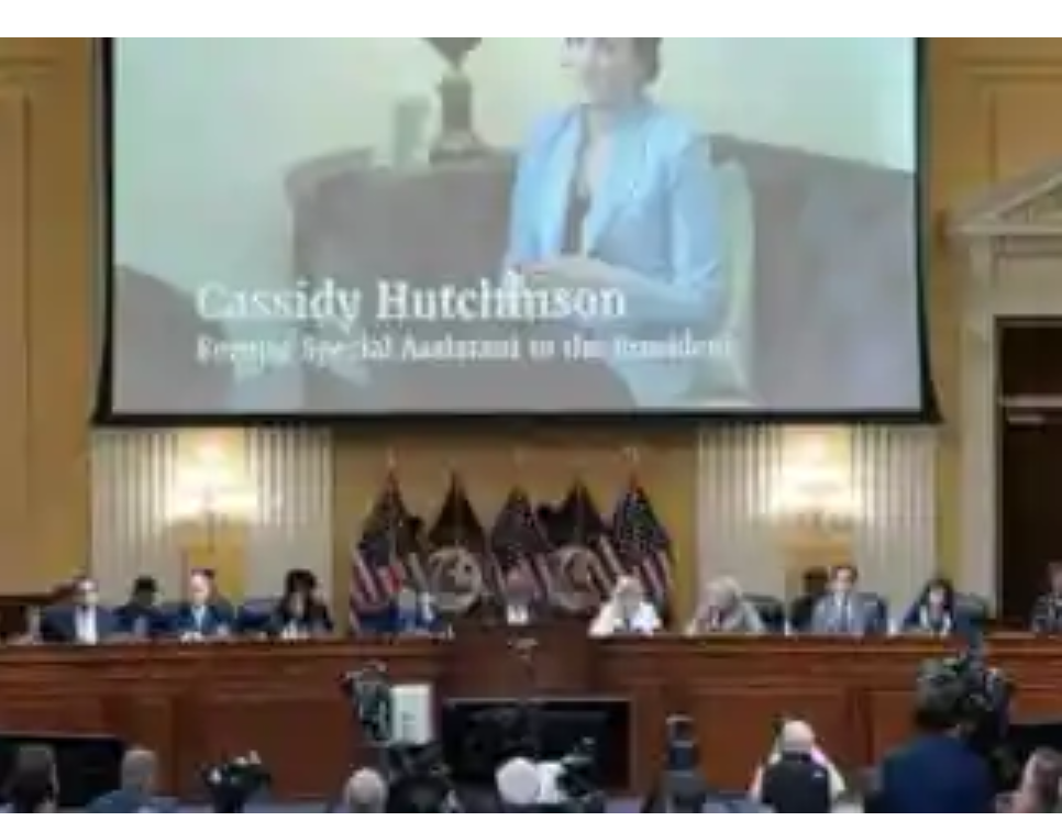  “BS” Meter Goes Off on J6 Panel’s “Surprise” Witness Cassidy Hutchinson