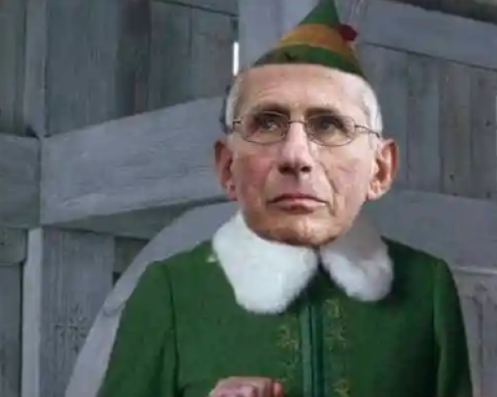 You Probably Heard About Dr. Fauci, the “Little Elf”