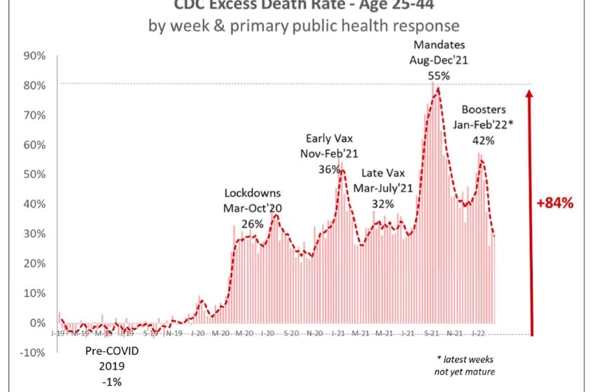  61,000 Millennials  Died in 2021 From COVID Vaccine Mandates – 84% Increase in Mortality Rate