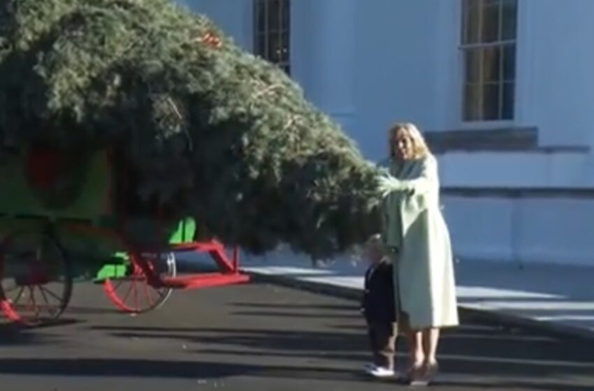  Tacky. Tacky. Tacky. Jill Biden Wears Yellow Gloves to White House Christmas Tree Welcome Ceremony (VIDEO)