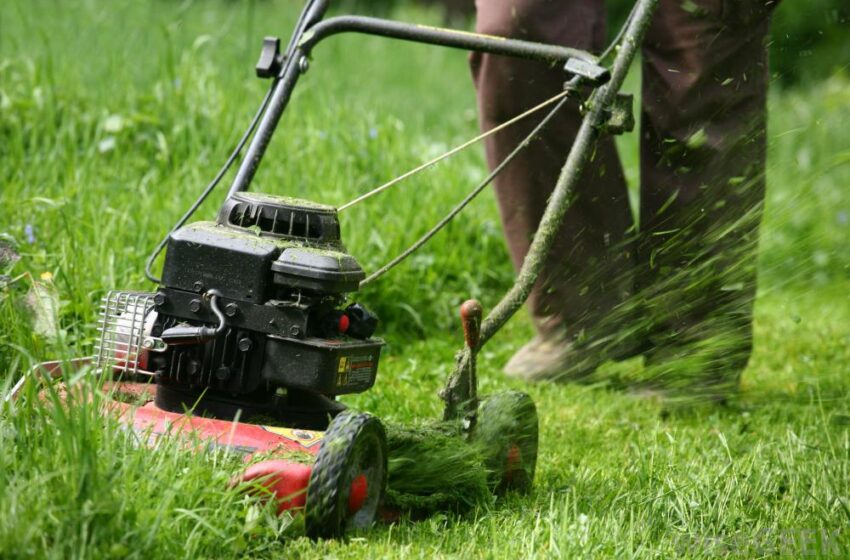  Democrats in Minnesota Now Pushing for Ban on Gas-Powered Lawnmowers and Chainsaws