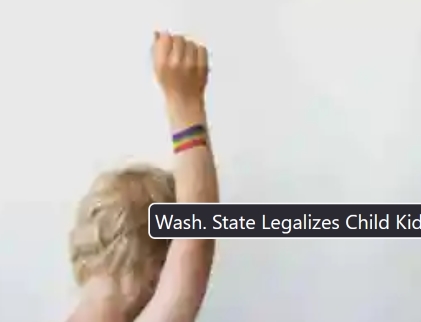 Wash. State Legalizes Child Kidnapping for Gender Surgeries or Abortions