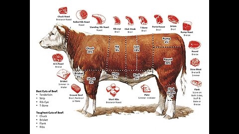  Is Our Food Supply Safe? The Beef with The Beef Industry!