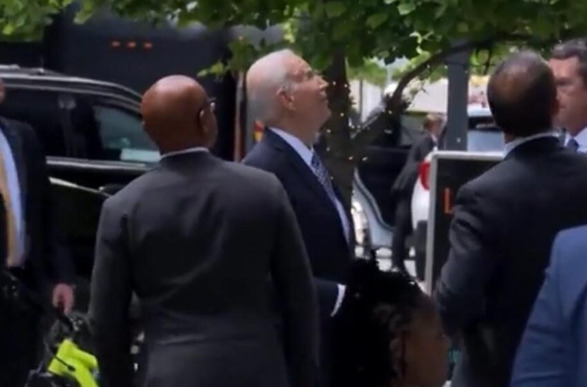  Biden Stops at Taqueria Habanero in DC, Randomly Tells People “Don’t Jump” (VIDEO)