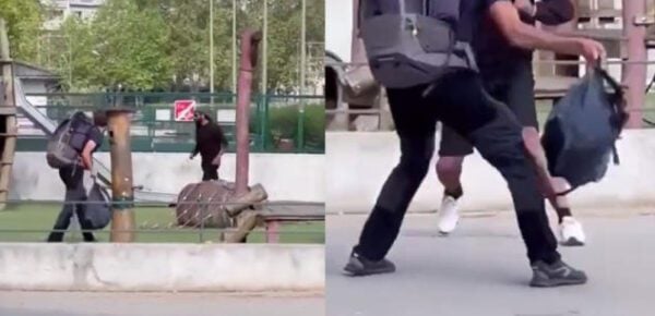  “I Let Myself Be Guided by Providence and the Virgin Mary” – Lanky French Student on a Pilgrimage Confronts Refugee Trying to Stab Young Children in the Park, Hailed as ‘Backpack Hero’ (VIDEO)