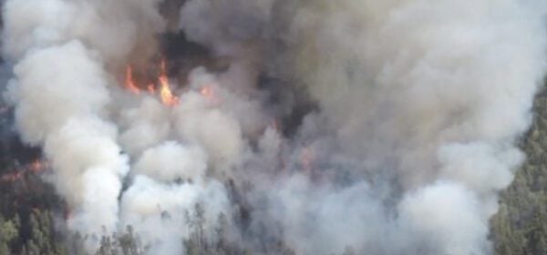  Firefighters Battle Wildfires in Northern Michigan (Video)