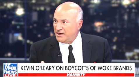  ‘RAGE in America!’ Kevin O’Leary’s Dire Warning to Woke Corporations
