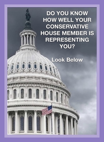  Do You Know How Well Your Conservative House Member Is Representing You?