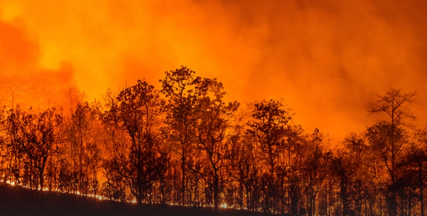  WEF Insider Admits Canadian Wildfires Being Used to Poison Americans