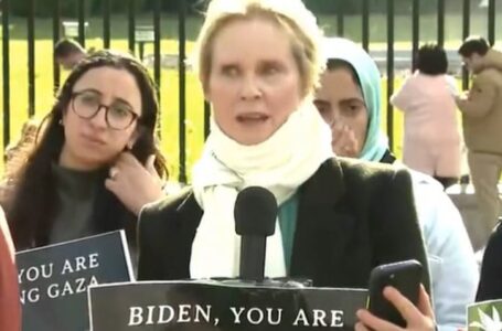 Socialist Actress Cynthia Nixon Joins Hunger Strike Outside the White House Demanding Ceasefire in Gaza (VIDEO)