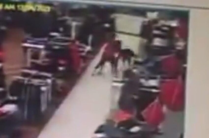  PHILLY: Macy’s Security Guard Stabbed to Death by Suspect with Long Rap Sheet Trying to Steal Hats From Store (VIDEO)