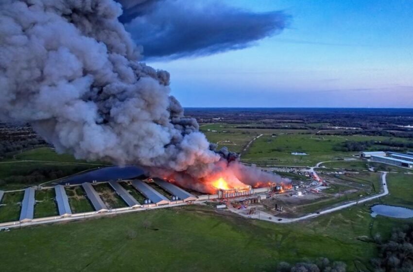  Massive Fire Engulfs Feather Crest Farm Chicken Plant in Texas, Reportedly Following Large Explosion (VIDEO)