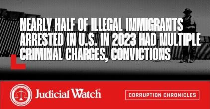  Nearly Half of Illegal Immigrants Arrested in U.S. in 2023 Had Multiple Criminal Charges, Convictions