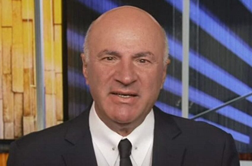  Expert Investor Kevin O’Leary Completely Dismantles the Letitia James Case Against Trump: ‘This Doesn’t Even Make Sense’ (VIDEO)