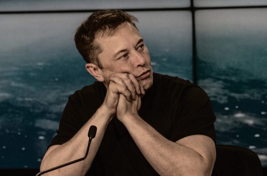  Elon Musk Calls for Greater Election Security and Voter ID: ‘This is Insane’