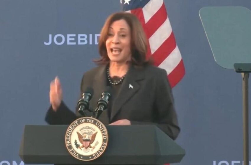  Kamala Harris Affects Bizarre Accent as She Speaks at Campaign Rally in South Carolina (VIDEO)