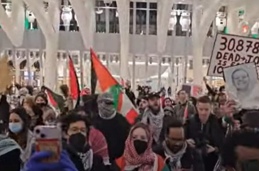  A Mob of Anti-Israel Protesters Swarmed the World Trade Center in NYC This Weekend (VIDEO)
