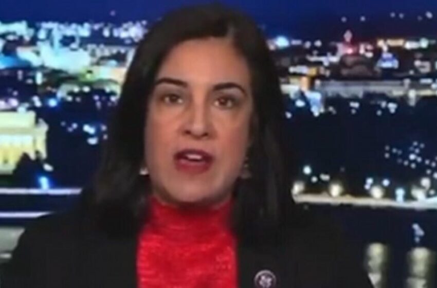  Republican Rep. Nicole Malliotakis Blasts Far Left ‘Squad’ Members Over Secret Trip to Cuba: ‘These Are Anti-American Members of Congress’ (VIDEO)