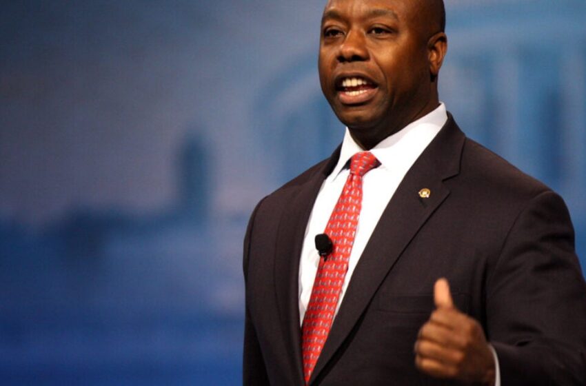  REPORT: Trump Won’t Pick Strongly Pro-Life Candidate For VP, Tim Scott and Kristi Noem Deemed Too Hardline