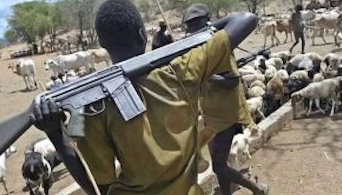  Nigeria: Muslims attack rural communities, murder seven people, including pregnant woman