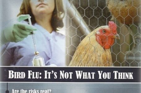 Why Has Former CDC Director Robert Redfield Been Warning that the “Bird Flu” Will be Worse than COVID for the Past 3 Years?
