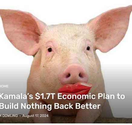  Kamala’s $1.7T Economic Plan to Build Nothing Back Better