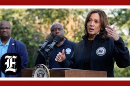 DHS confirms the Kamala Harris parole program is a national security risk