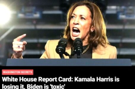 White House Report Card: Kamala Harris is losing it, Biden is ‘toxic’